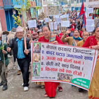 सडेको अवस्थामा शव फेला